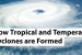 Temperate and tropical cyclones