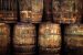 What is Whiskey Fungus?