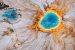 Where is Yellowstone National Park?