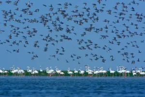 Water Bodies: First Census Report जारी की गई