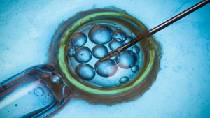 Regulation of Assisted Reproductive Technology