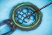 Regulation of Assisted Reproductive Technology