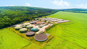 Global Conference on Compressed Biogas