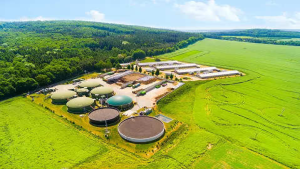भारत में किया गया संपीड़ित बायोगैस पर वैश्विक सम्मेलन (Global Conference on Compressed Biogas) का आयोजन