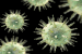 Epstein-Barr Virus and Associated Ailments