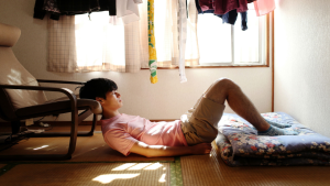What is Hikikomori?