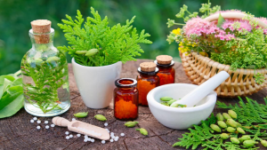विश्व होम्योपैथी दिवस (World Homeopathy Day) मनाया गया