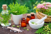 World Homeopathy Day