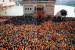 What is Sarbat Khalsa?