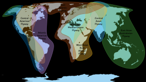 Central Asian Flyway क्या है?