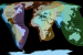 Central Asian Flyway