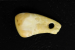 New Non-Invasive Method to Extract DNA from Palaeolithic Remains