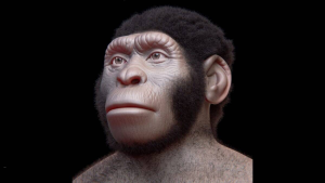 Homo naledi Burials and Carvings