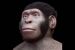 Homo naledi Burials and Carvings
