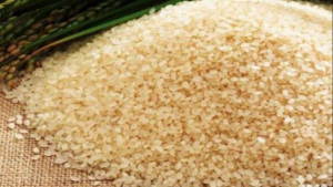 जोहा चावल (Joha Rice) के पोषक तत्व गुण : मुख्य बिंदु