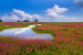 Kaas Plateau