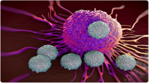Role of T Cells in Fat and Muscle Loss During Infection
