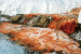 Taylor Glacier