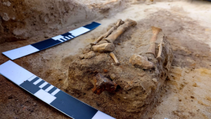 17th-Century “Vampire” Child Found in Polish Village