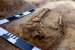 17th-Century “Vampire” Child Found in Polish Village