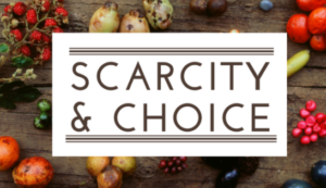Foundation of Microeconomics – Scarcity and Choice