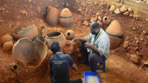 Adichanallur Museum
