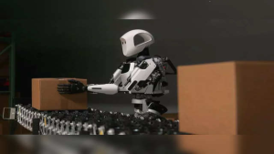Apollo: A Friendly Humanoid Robot for Collaborative Work
