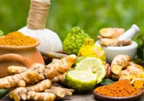 आयुष वीजा (Ayush Visa) क्या है?
