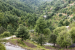 “Climate Change Threatens Himalayan Cedar