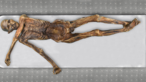 New Genetic Insights from Ötzi