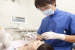 Treatment to Regrow Teeth