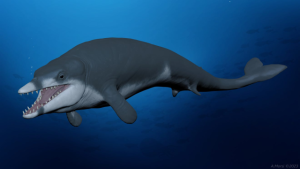 Tutcetus rayanensis