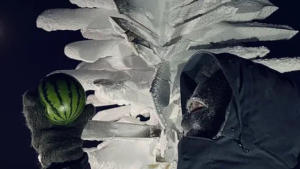 Watermelons Cultivated in Vostok Station
