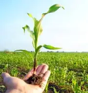 कृषि सांख्यिकी के लिए एकीकृत पोर्टल (UPAg) लॉन्च किया गया