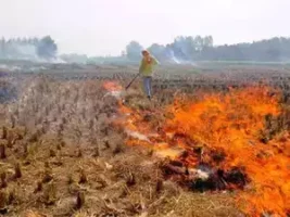 धान की पराली जलाने पर रोक लगाने के लिए पंजाब की कार्य योजना : मुख्य बिंदु