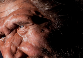 Neanderthals’ Speech Capacities Revealed