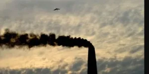 “Climate equality: A planet for the 99%” रिपोर्ट जारी की गई