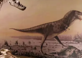Farlowichnus rapidus Discovered in Brazil