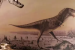 Farlowichnus rapidus Discovered in Brazil