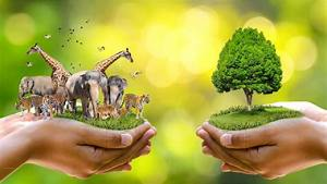 5 जून: विश्व पर्यावरण दिवस (World Environment Day)
