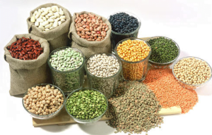 पीएम मोदी ने नई दिल्ली में ‘World Food India 2023’ का उद्घाटन किया