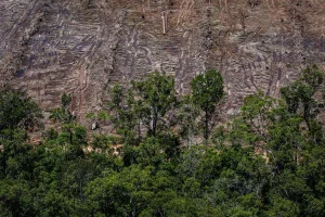 State of the Wet Tropics रिपोर्ट जारी की गई