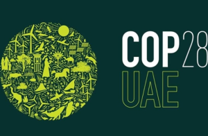 Article 6 Discussions at COP28
