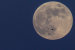 What is Cold Moon?