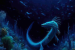 Wakayama Soryu: The Blue Dragon of the Pacific