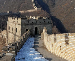 Mystery of Biocrusts on the Great Wall of China