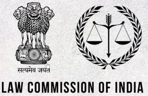 Law Commission Looks into Synchronization of Local and National Elections
