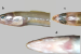 Two New Eel Species Discovered