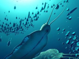 Fossils of Giant “Terror Beasts” Worms Unearthed