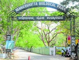 Protests Over Proposed Highway in Bannerghatta National Park